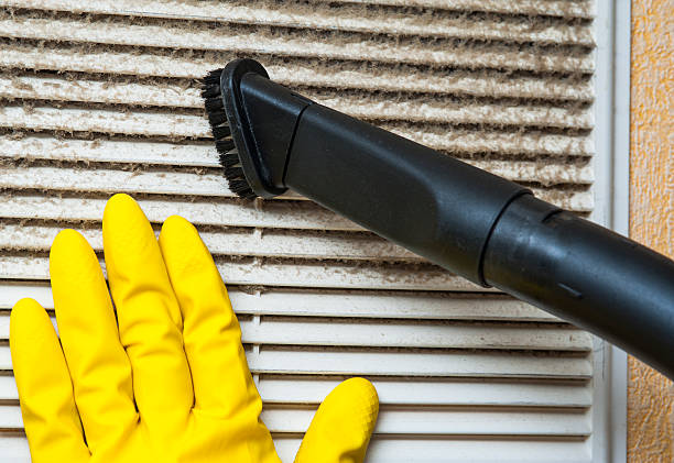 Best HVAC Duct Inspection Services  in Kalaheo, HI